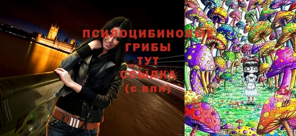 прущая мука Каменск-Шахтинский
