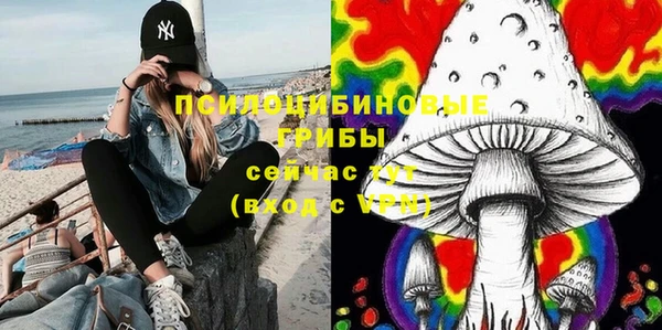 героин Каменка
