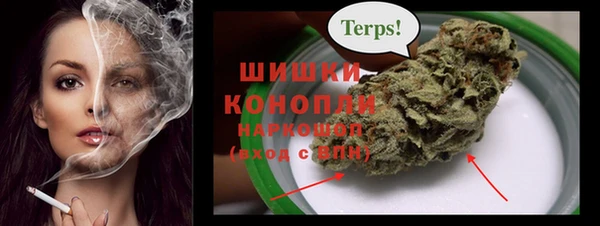 2c-b Каменногорск