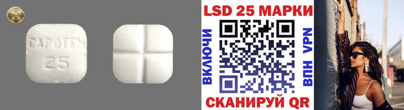 Купить закладки  Ковдор  Лсд 25 экстази кислота 