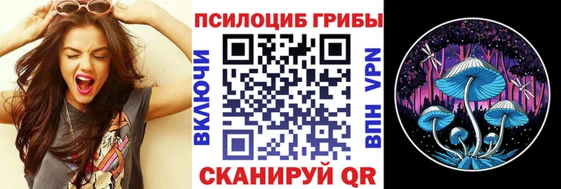 Псилоцибиновые грибы мицелий  Купить закладки  Ковдор 